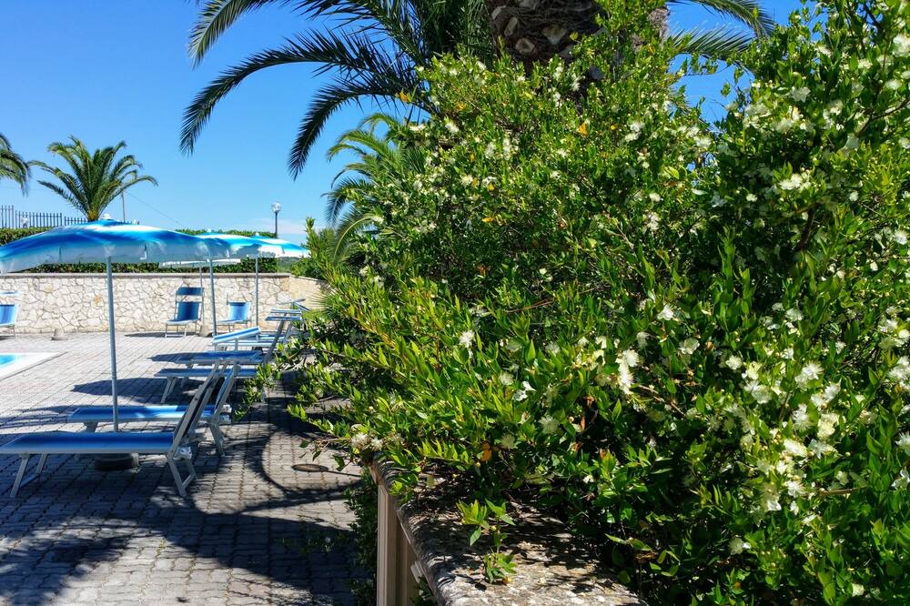 Photo of Outdoor in Montincello