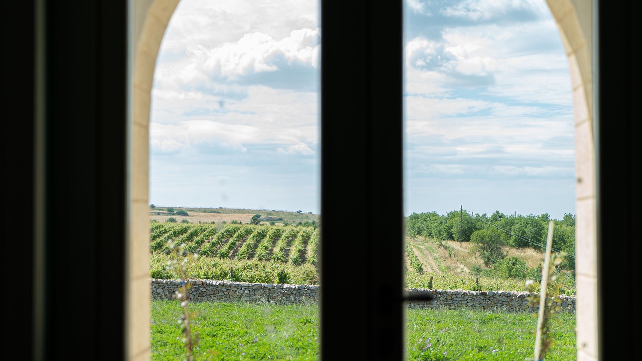 Photo of Outdoor in Montegrosso