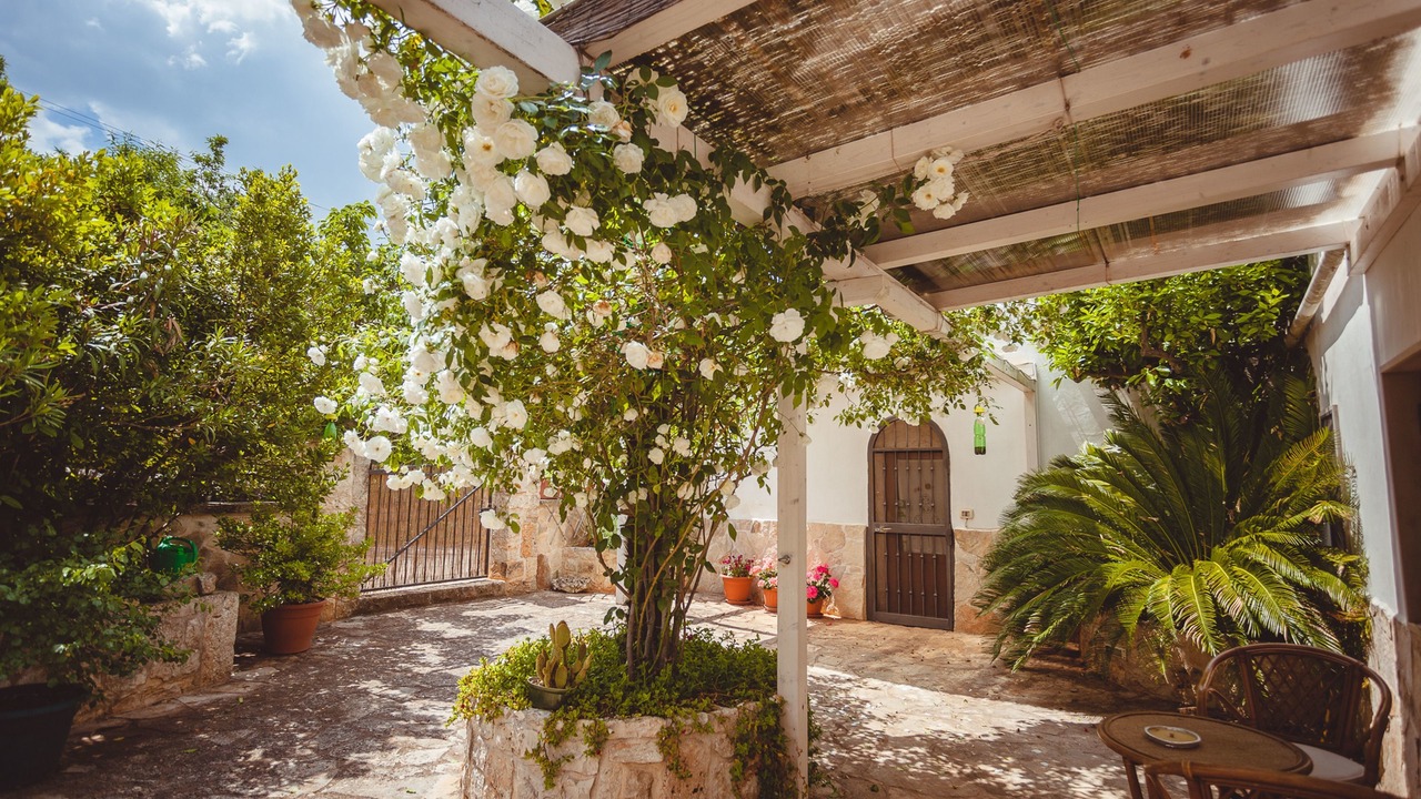 Photo of Patio Balcony in L'Assunta