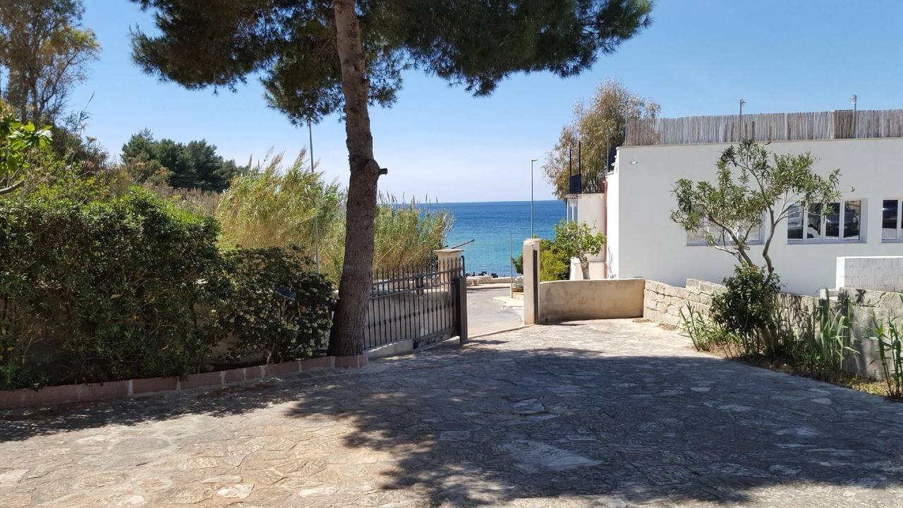Photo of Outdoor in Marina San Gregorio