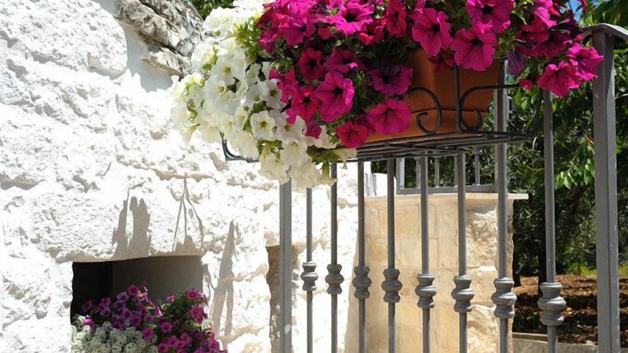 Photo of Others in The Trulli of Alberobello