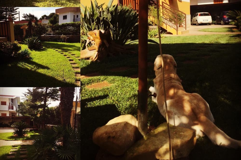 Photo of Outdoor in Municipio 5