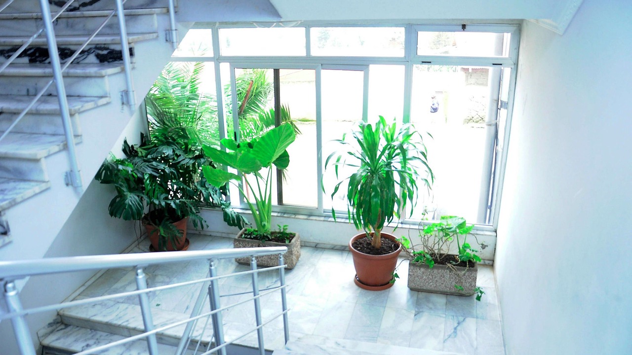 Photo of Patio Balcony in Arada