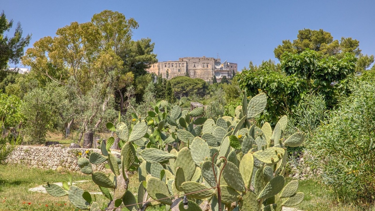 Photo of Outdoor in Alessano