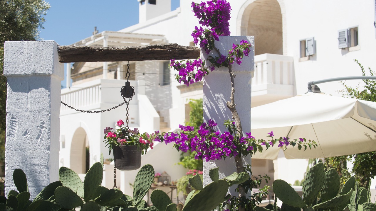 Photo of Outdoor in Ostuni