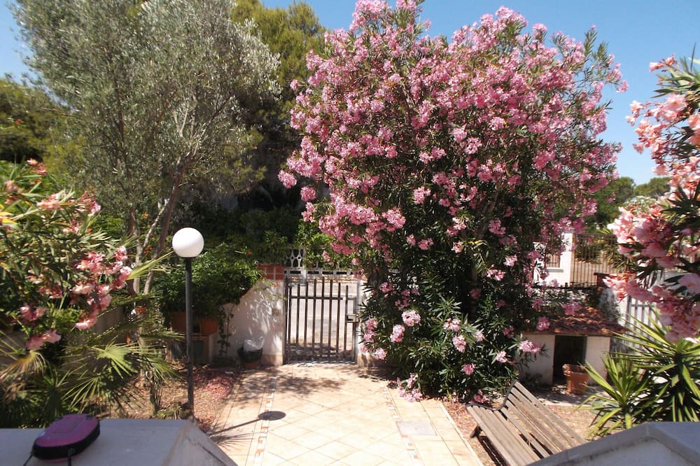 Photo of Outdoor in Manfredonia