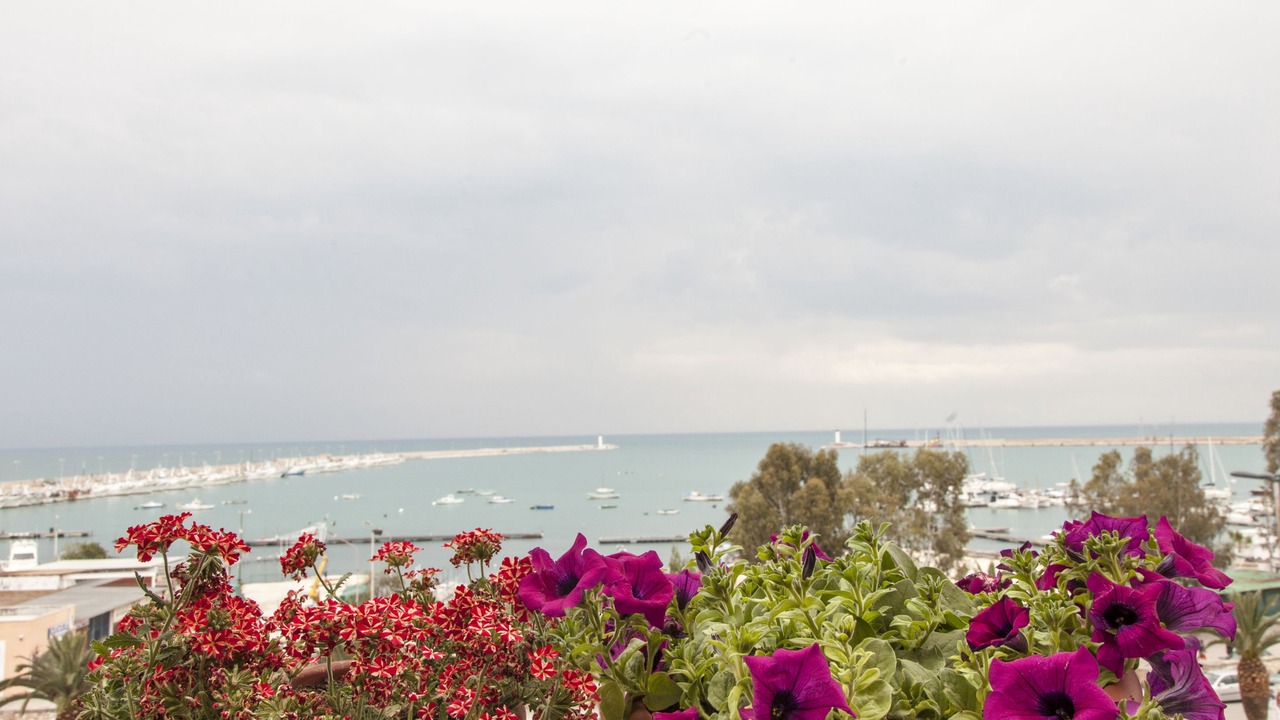 Photo of Others in Manfredonia