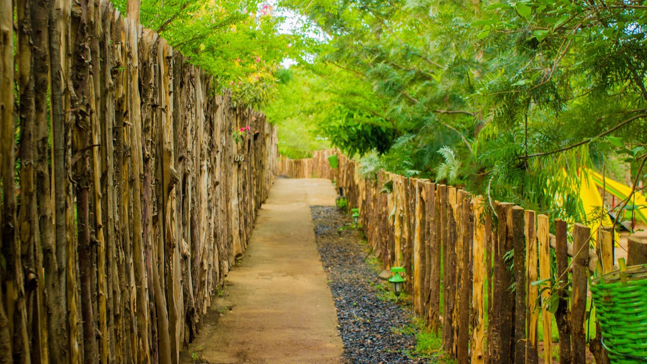 Photo of Outdoor in Arba Minch