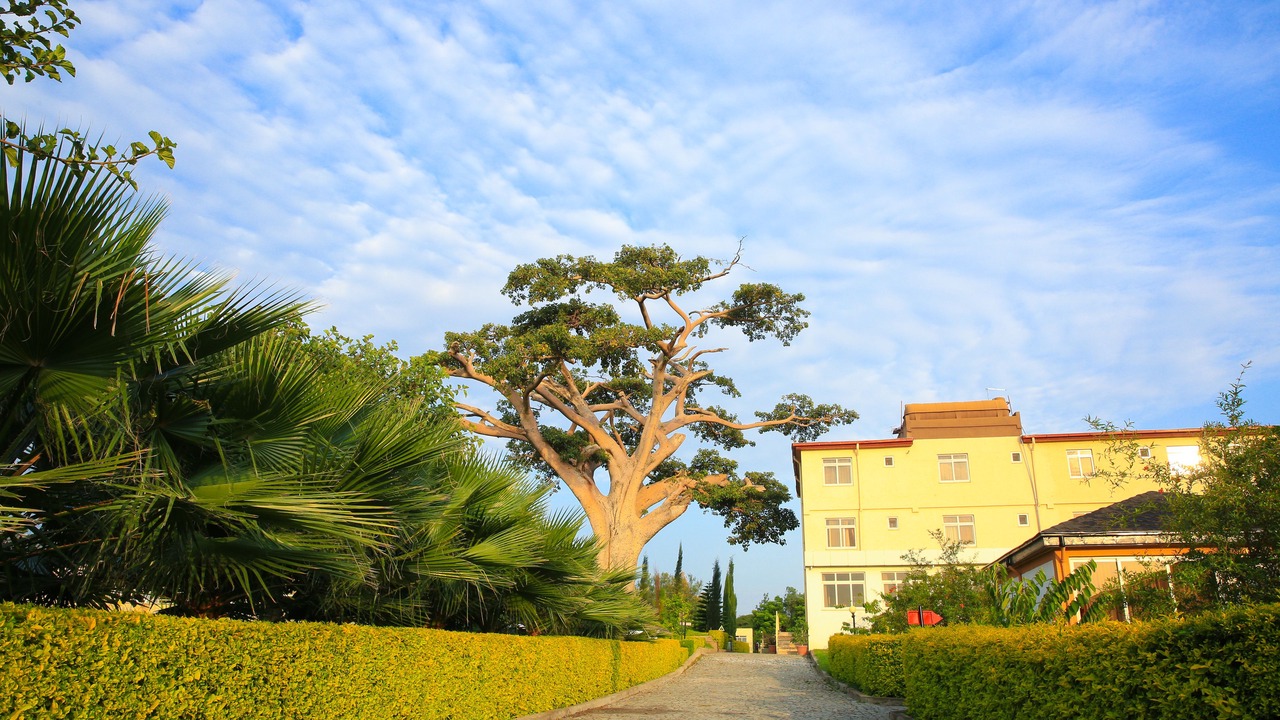 Photo of Outdoor in Ziway