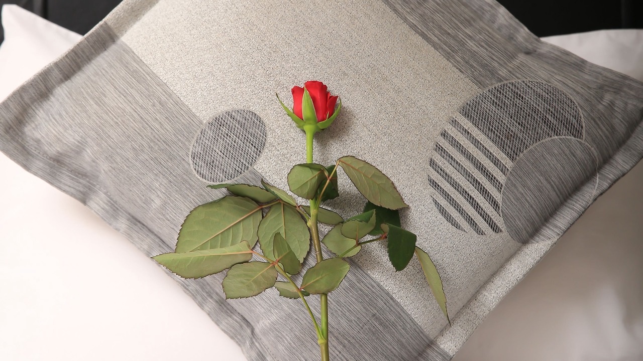 Photo of Bedroom in Ziway
