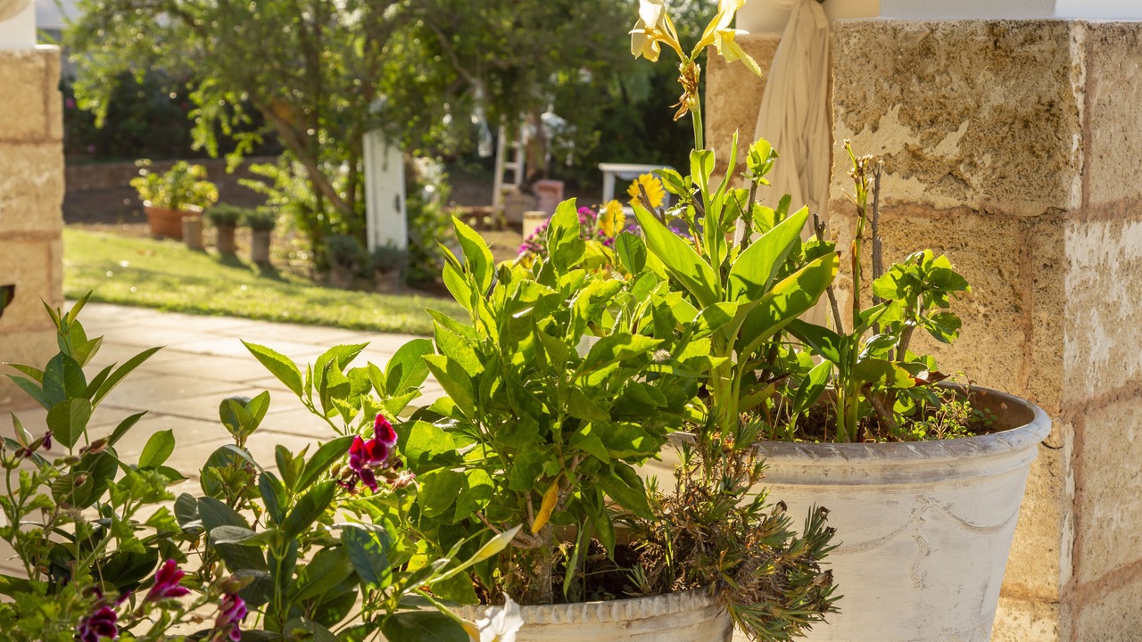 Photo of Outdoor in Pittuini