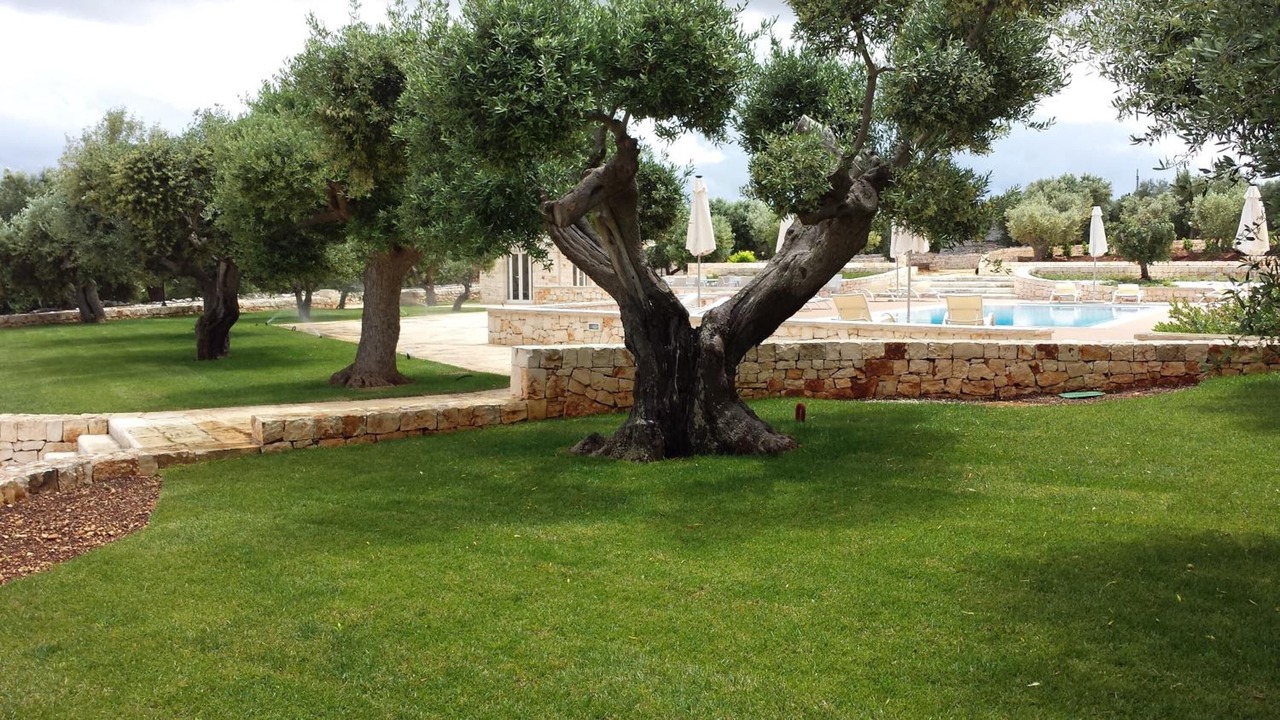 Photo of Outdoor in Castellana Grotte