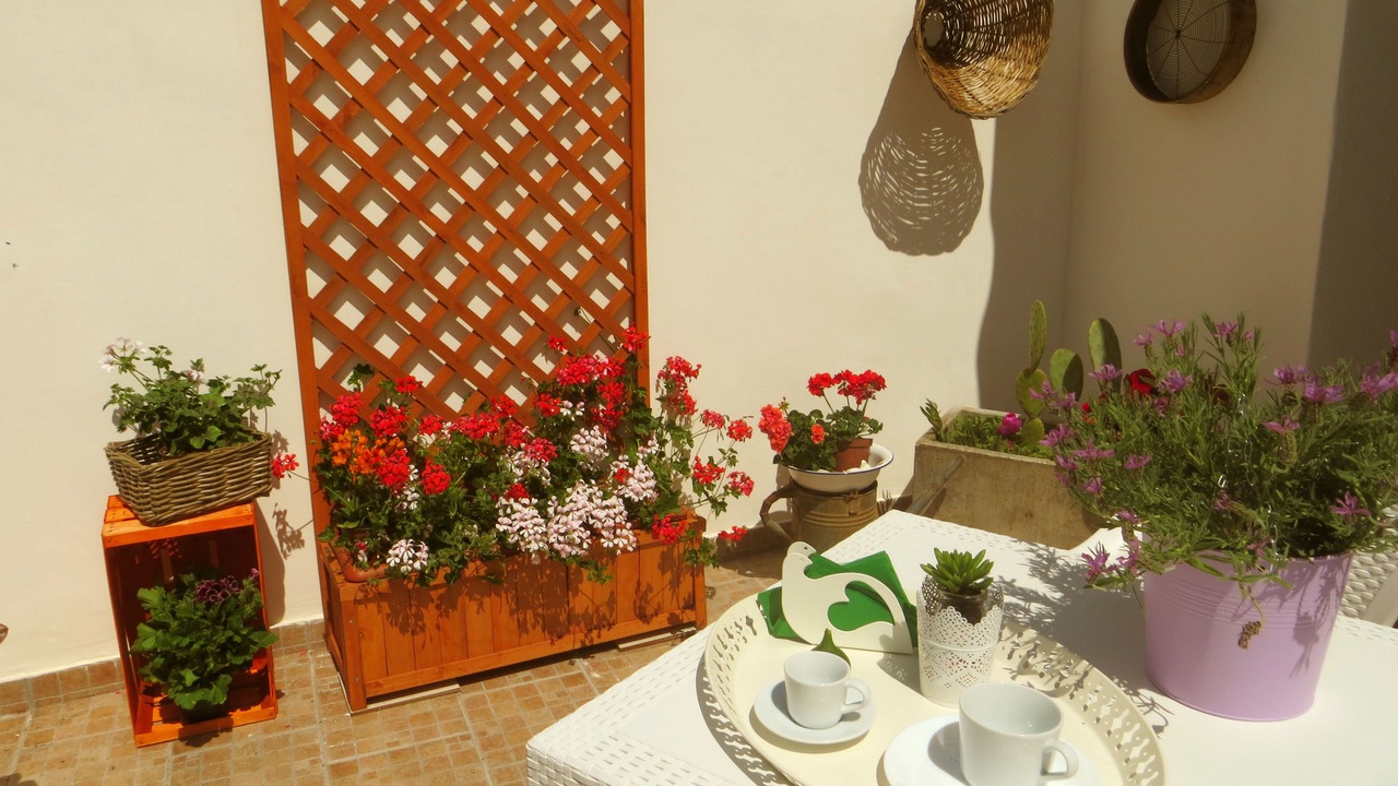 Photo of Outdoor in Calimera