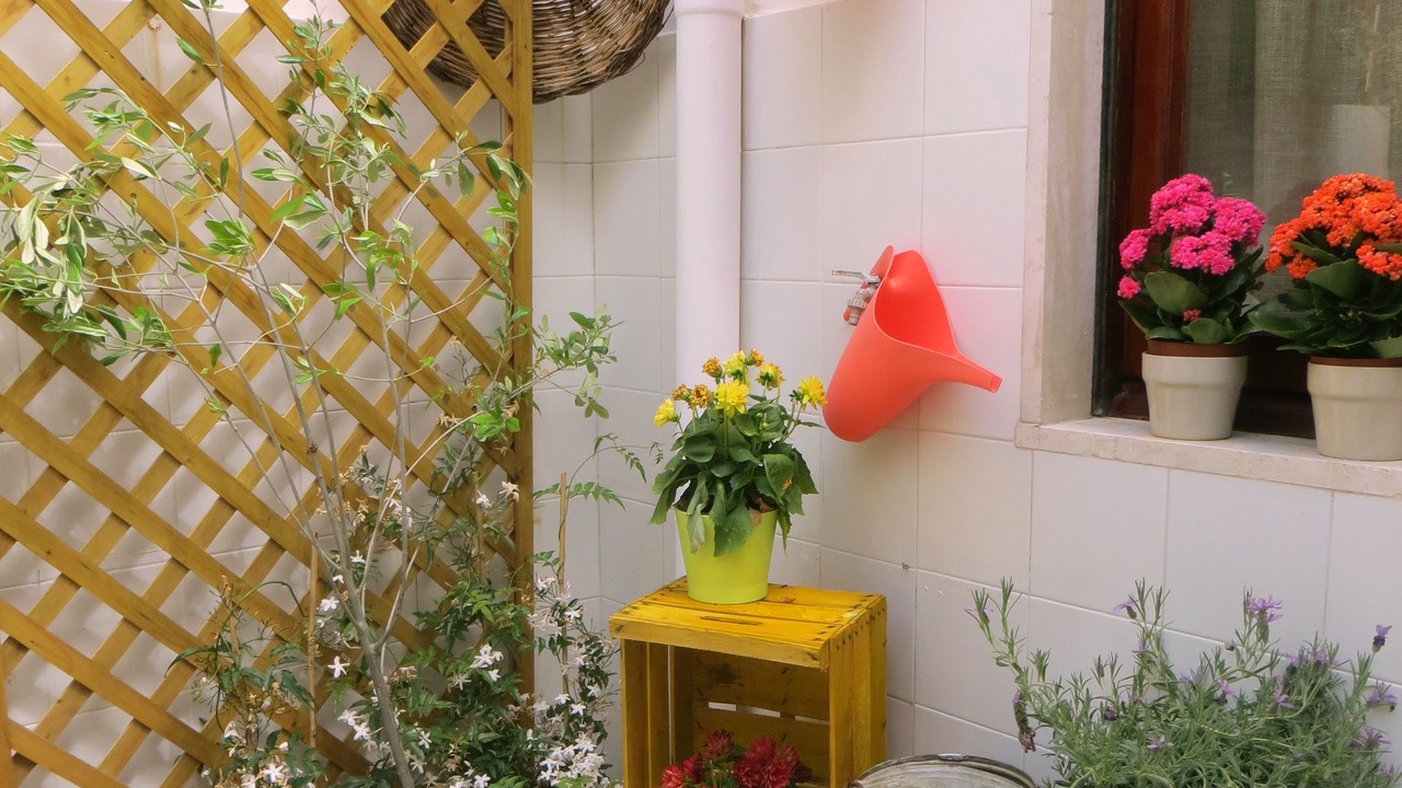 Photo of Outdoor in Calimera