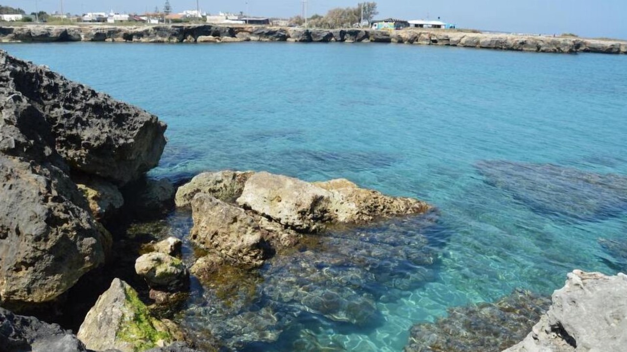 Photo of Others in Calimera