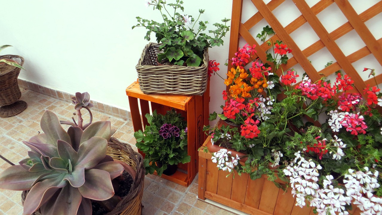 Photo of Patio Balcony in Calimera