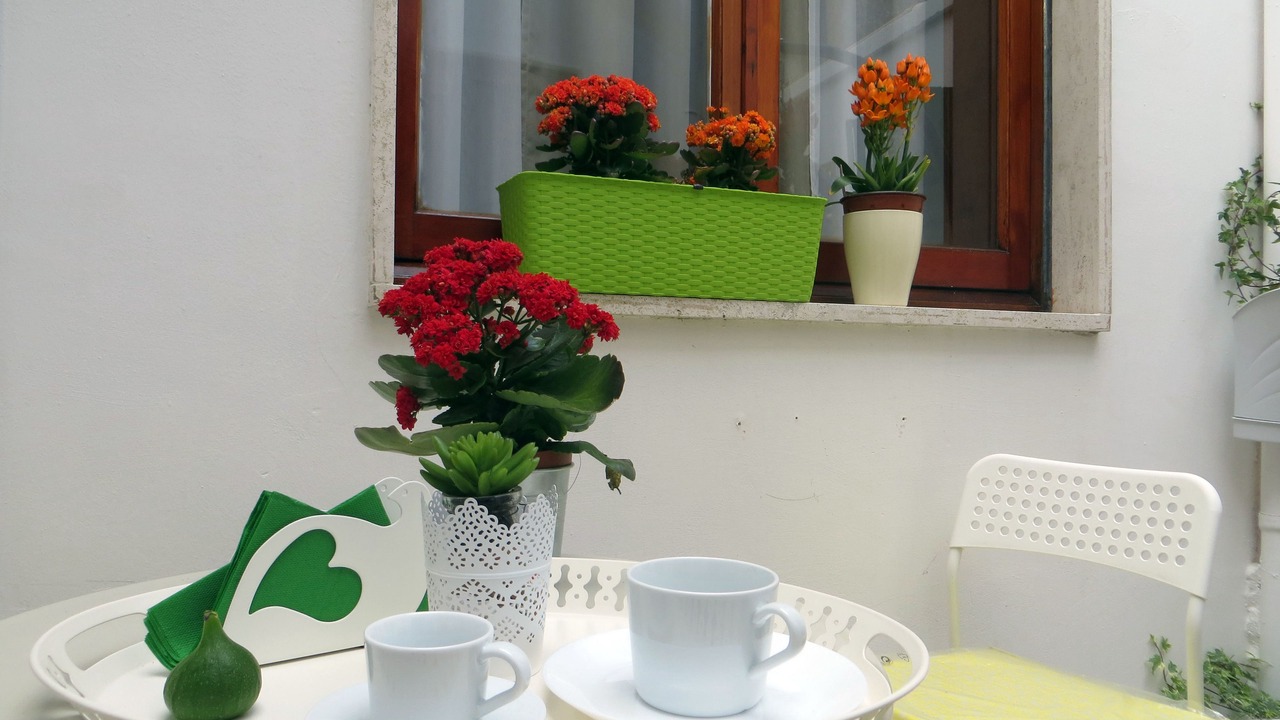 Photo of Outdoor in Calimera