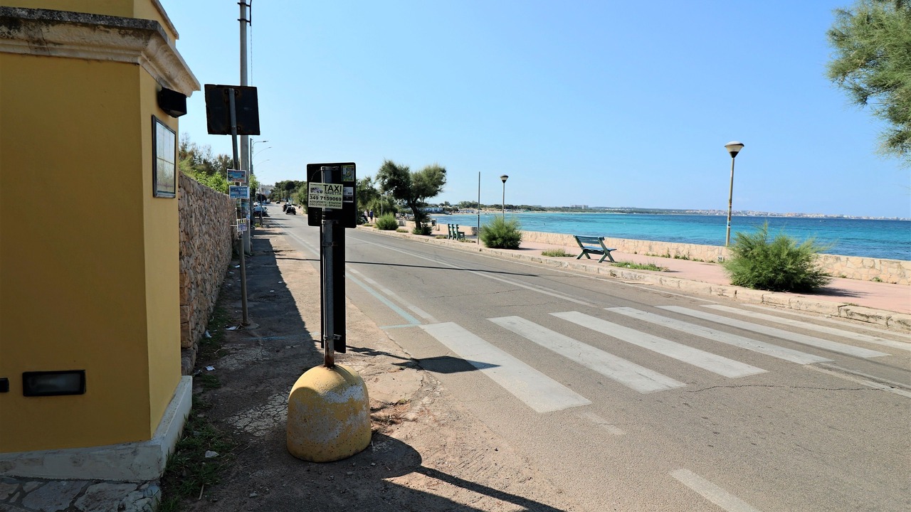 Photo of Outdoor in Lido Conchiglie