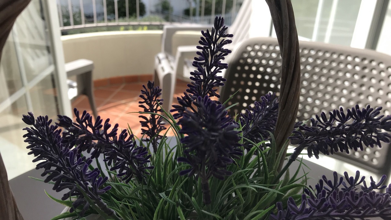 Photo of Patio Balcony in Nardo
