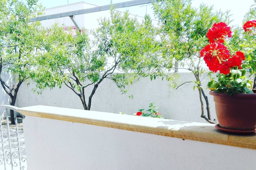 Photo of Patio Balcony in Cocumola