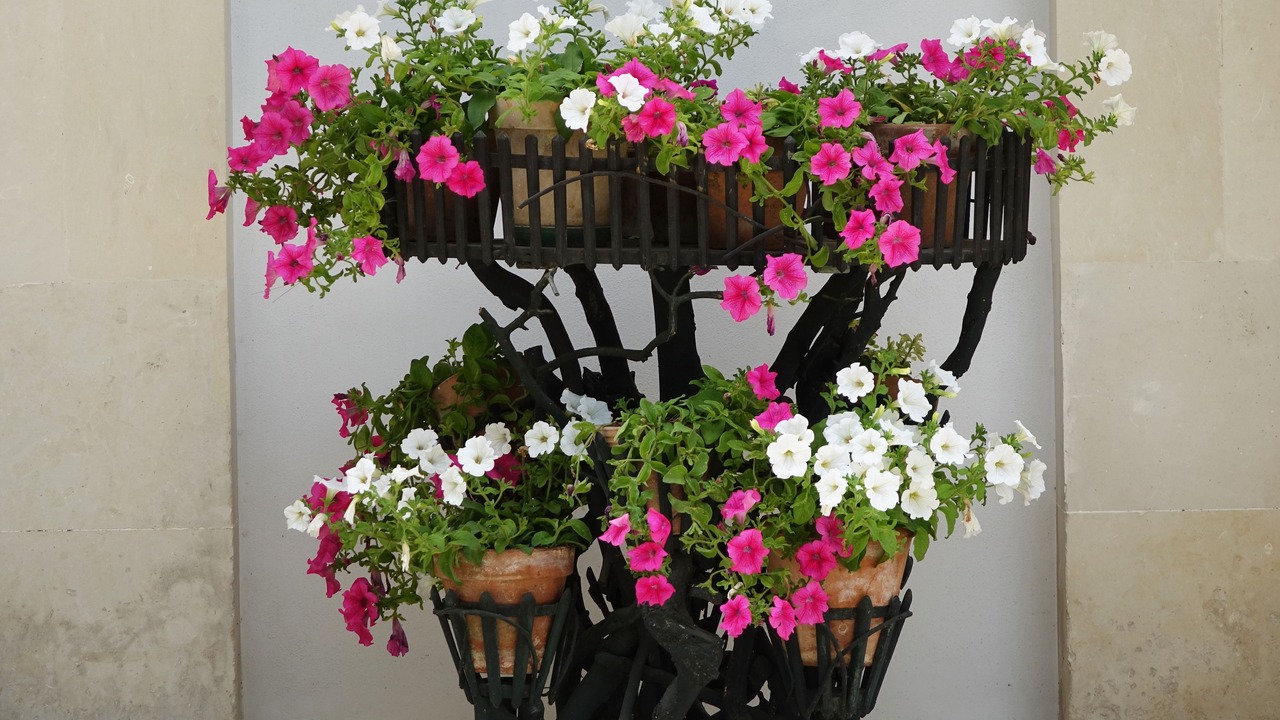 Photo of Outdoor in Cutrofiano