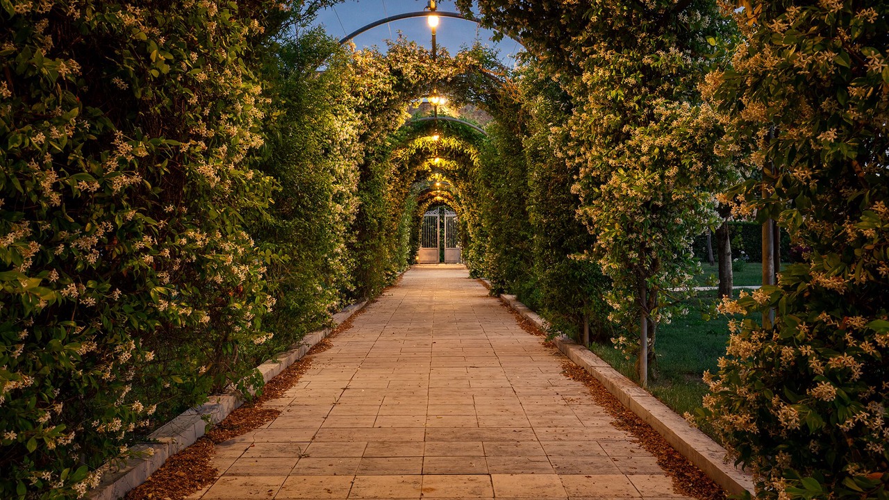 Photo of Outdoor in Novoli