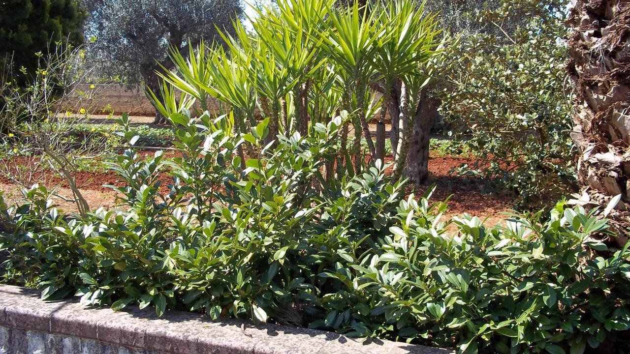Photo of Outdoor in Lucugnano