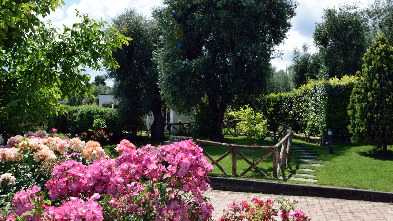 Photo of Outdoor in Peschici