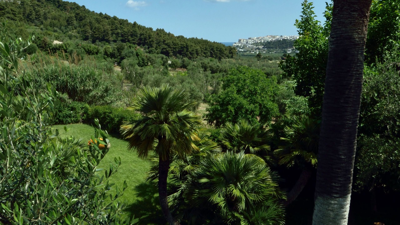 Photo of Outdoor in Peschici