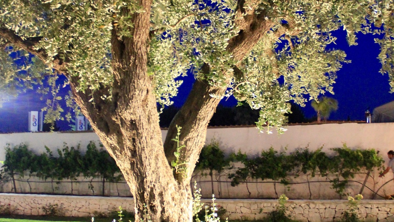 Photo of Outdoor in Mesagne