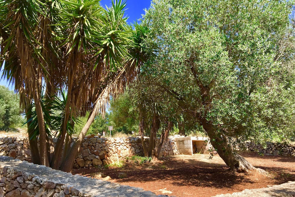 Photo of Outdoor in Torre Vado