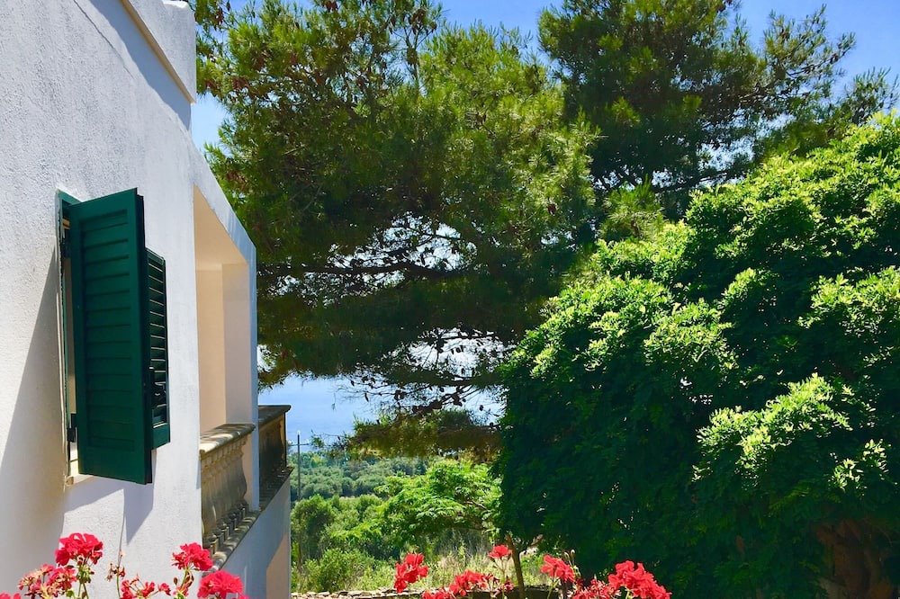Photo of Outdoor in Torre Vado