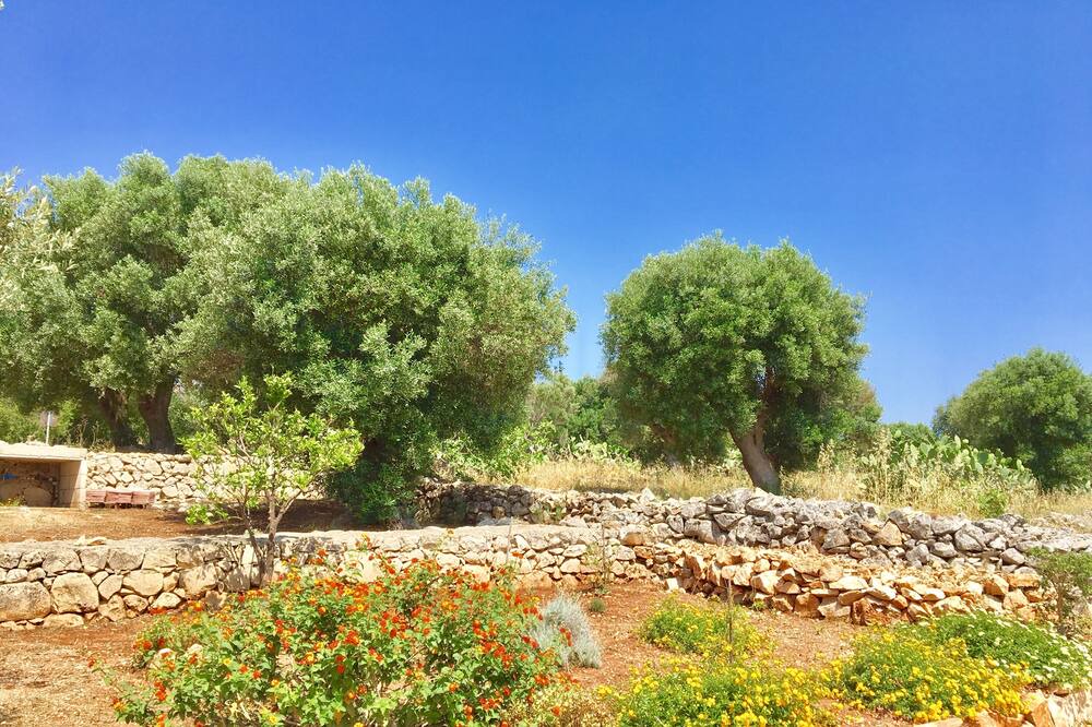 Photo of Outdoor in Torre Vado
