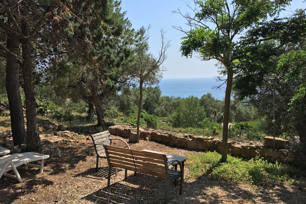 Photo of Outdoor in Torre Vado