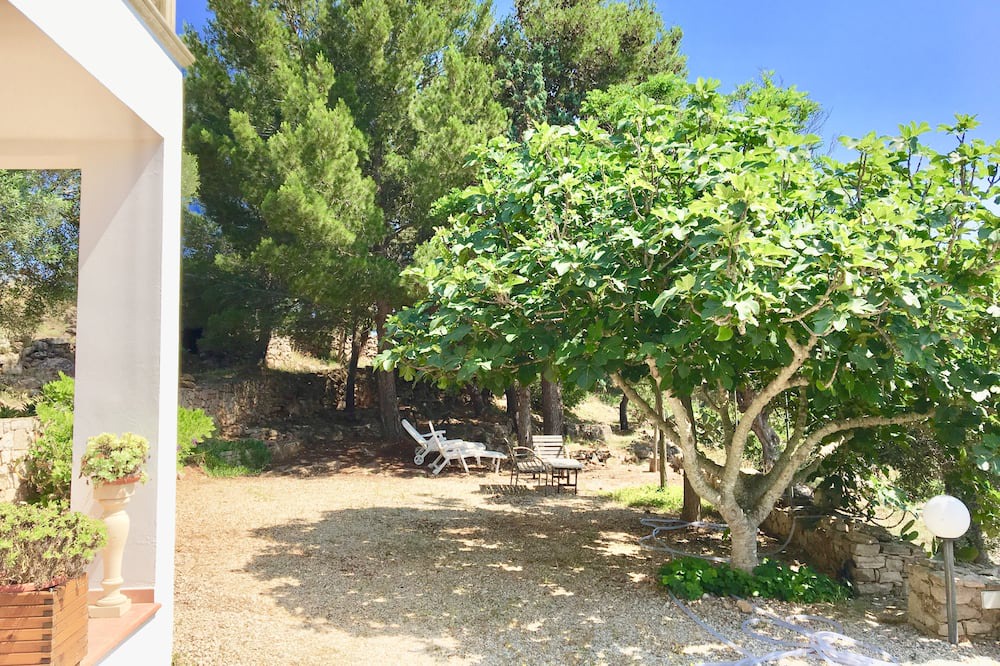 Photo of Outdoor in Torre Vado
