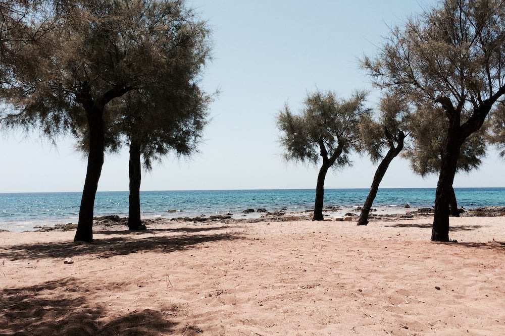 Photo of Others in Torre Castiglione