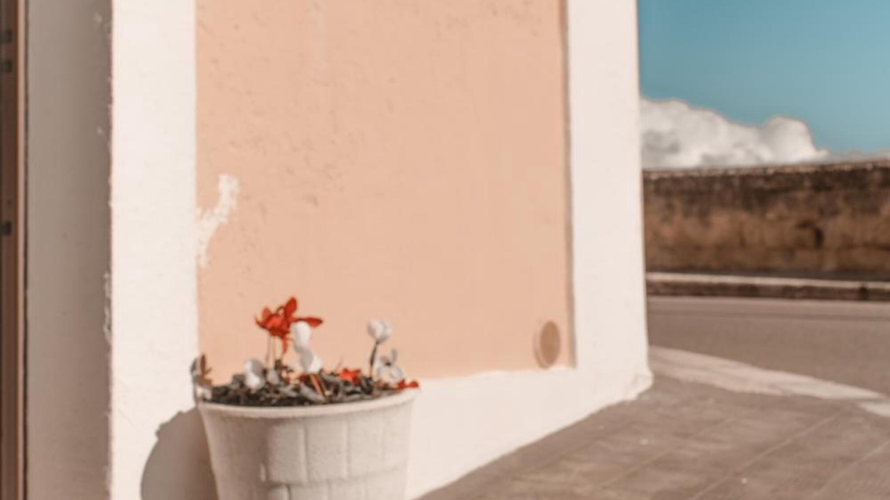 Photo of Outdoor in Castellaneta