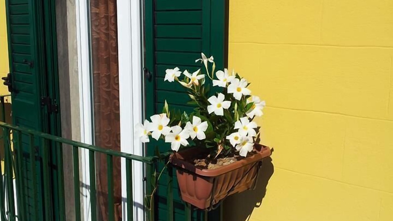 Photo of Outdoor in Castellaneta
