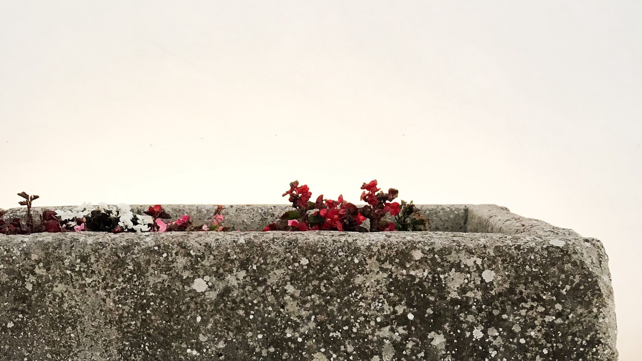 Photo of Others in Martano