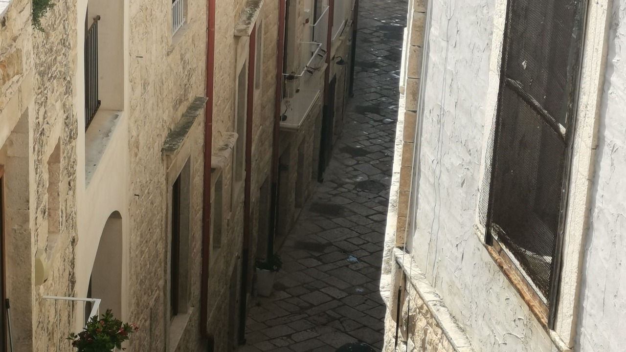 Photo of Others in Molfetta