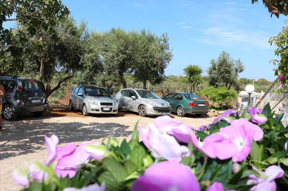 Photo of Others in Fontanelle