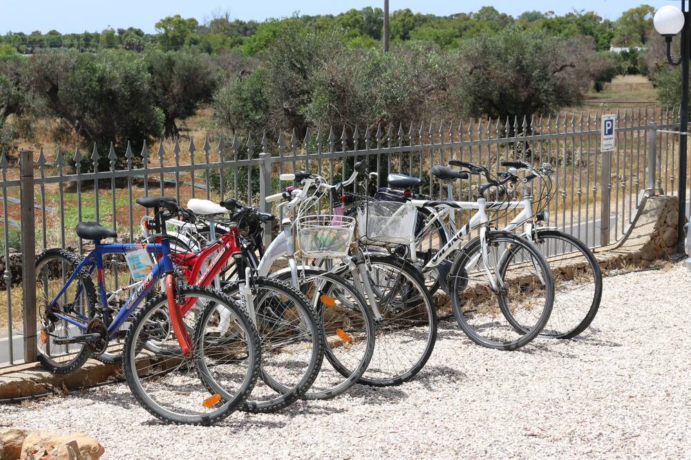 Photo of Others in Fontanelle