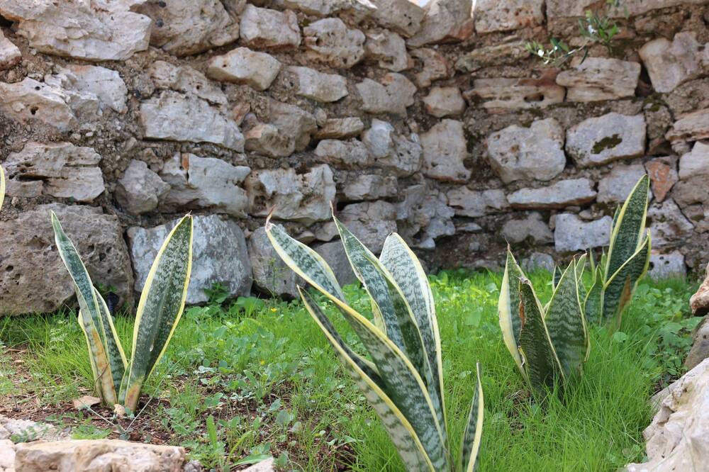Photo of Outdoor in Fontanelle