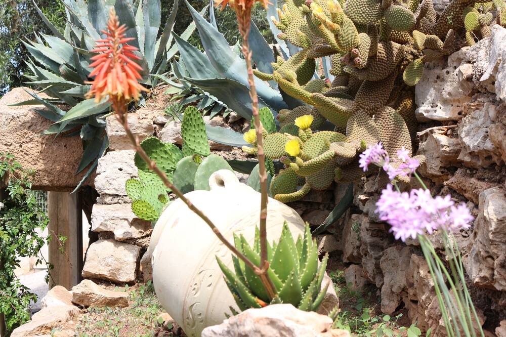 Photo of Outdoor in Fontanelle