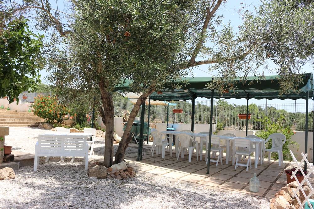 Photo of Others in Fontanelle