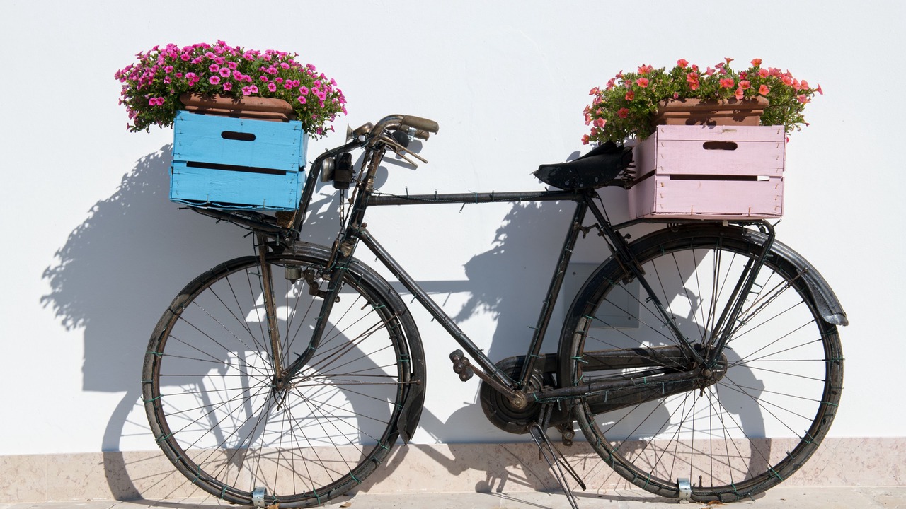 Photo of Outdoor in Alberobello