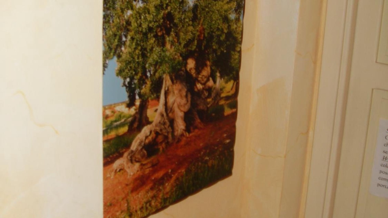 Photo of Others in Ceglie Messapica