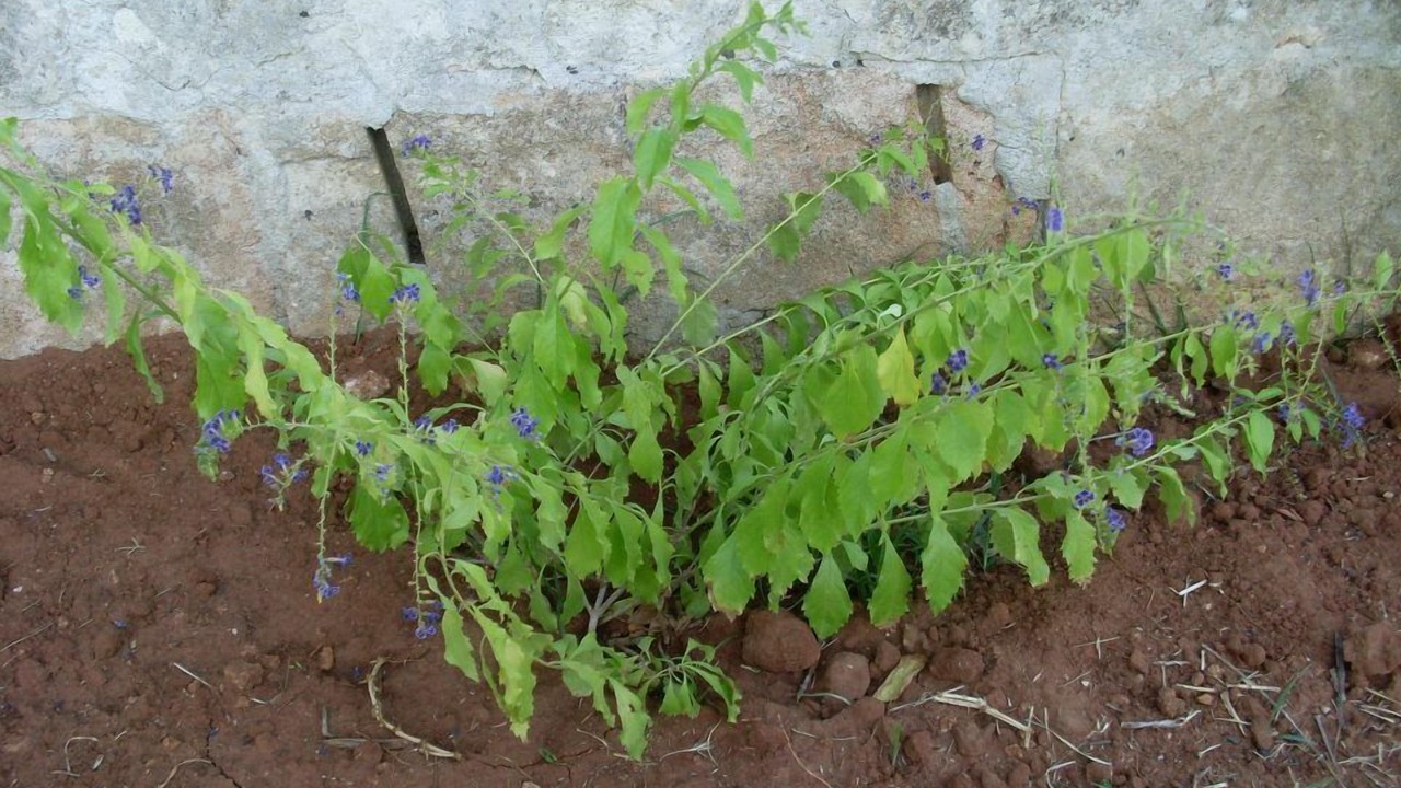 Photo of Outdoor in Tiggiano