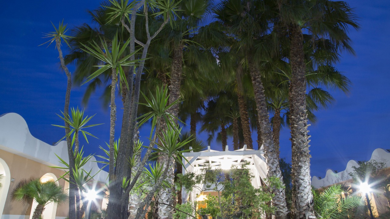 Photo of Outdoor in Vieste