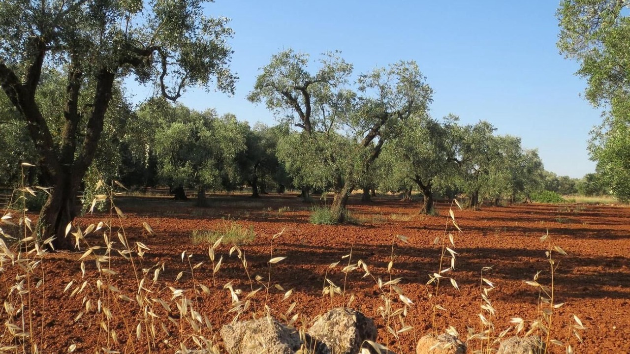 Photo of Outdoor in Posto Rosso